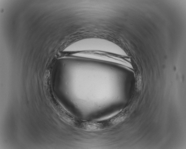 X0000085070229200704021419