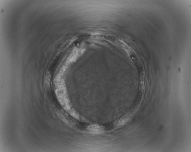 X0000085070231200704021419