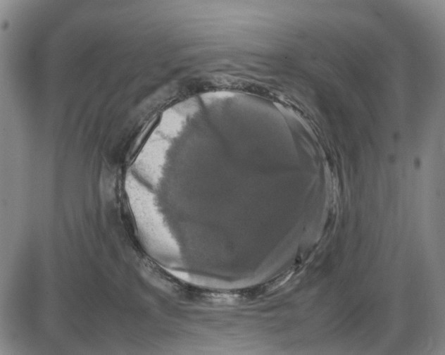 X0000085070233200704021419