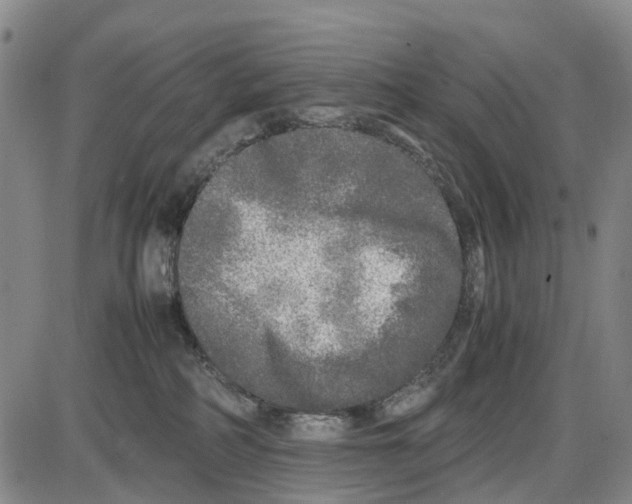 X0000085070234200704021419