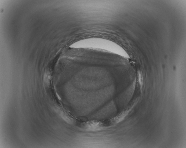 X0000085070235200704021419