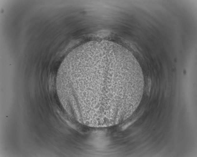 X0000085070236200704021419