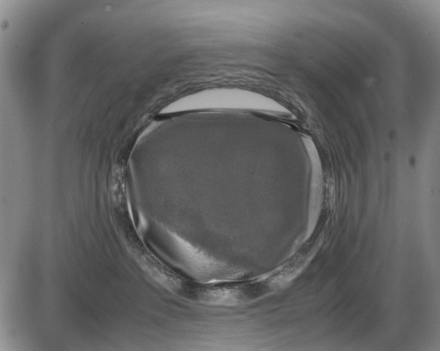 X0000085070237200704021419