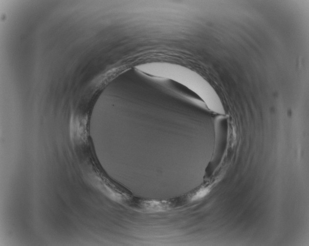 X0000085070239200704021419