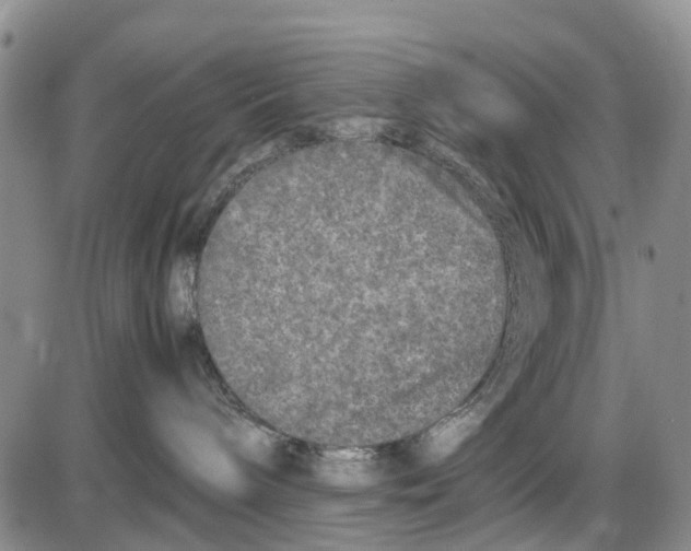 X0000085070240200704021419