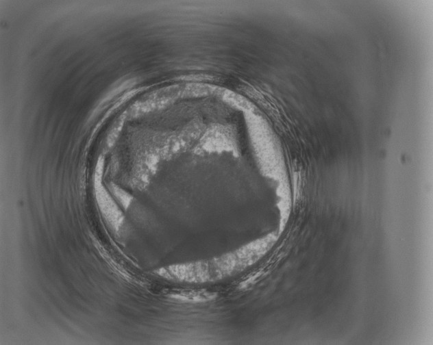 X0000085070243200704021418