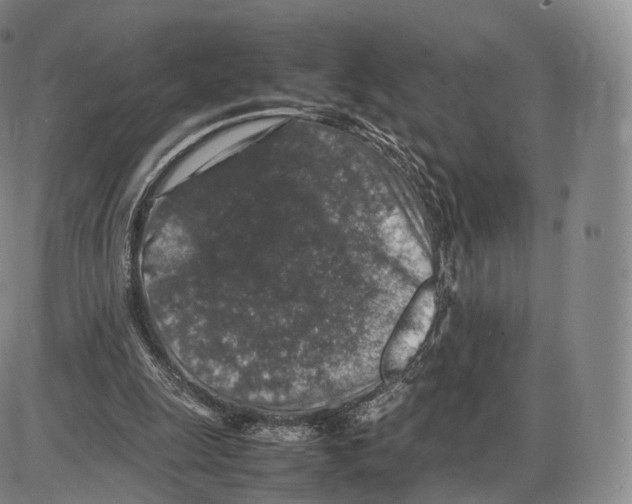 X0000085070247200704021418