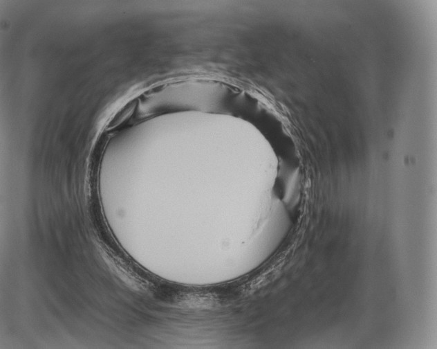 X0000085070248200704021418