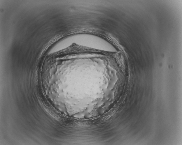 X0000085070250200704021418