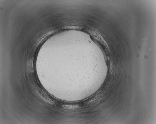 X0000085070251200704021418