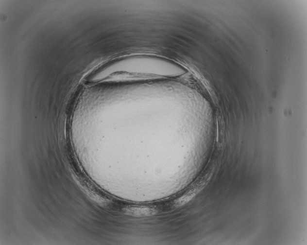 X0000085070253200704021418