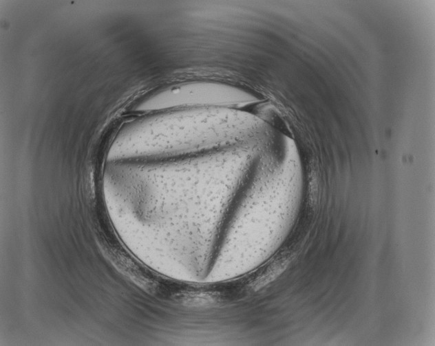 X0000085070254200704021418