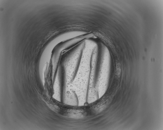 X0000085070255200704021418