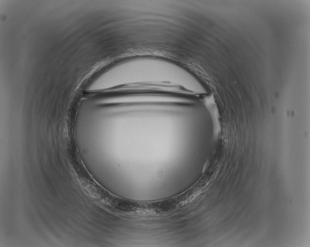 X0000085070256200704021418