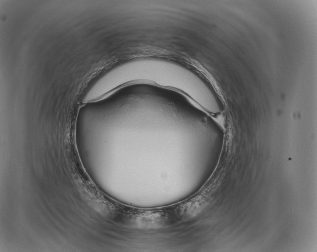 X0000085070257200704021418