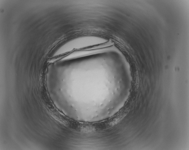 X0000085070258200704021418