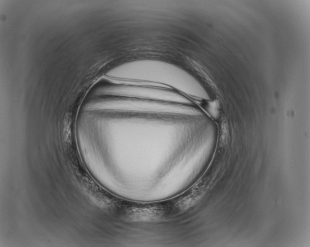 X0000085070259200704021418