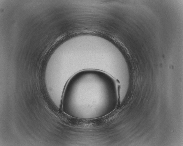 X0000085070260200704021418