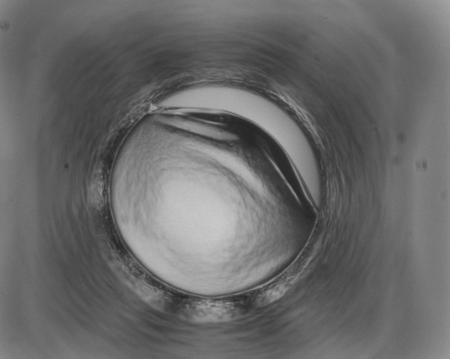 X0000085070261200704021418