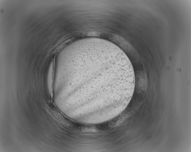 X0000085070262200704021418