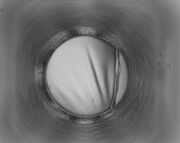 X0000085070263200704021418