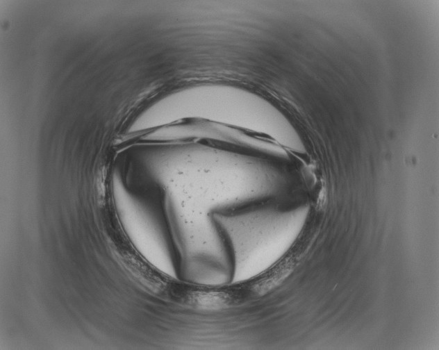 X0000085070264200704021418