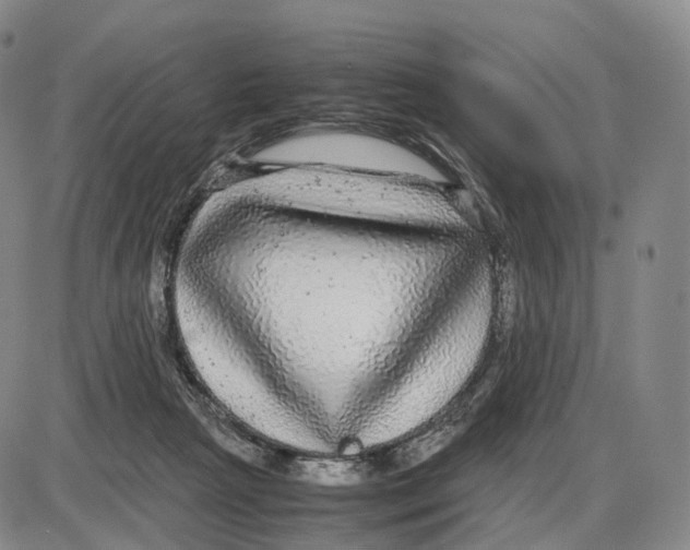 X0000085070265200704021418