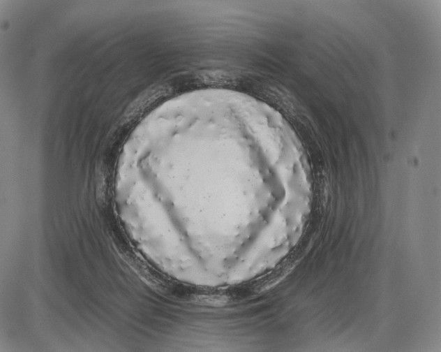 X0000085070266200704021418