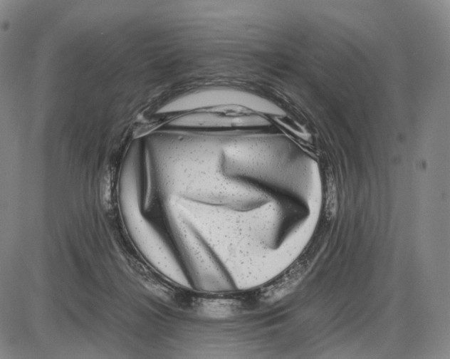 X0000085070268200704021418