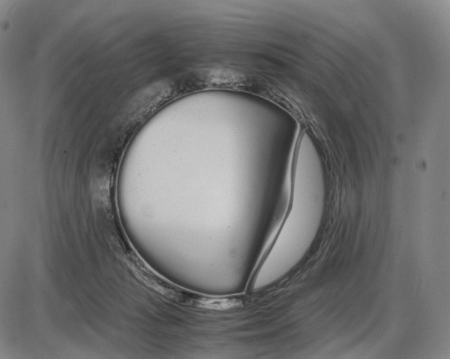 X0000085070269200704021418