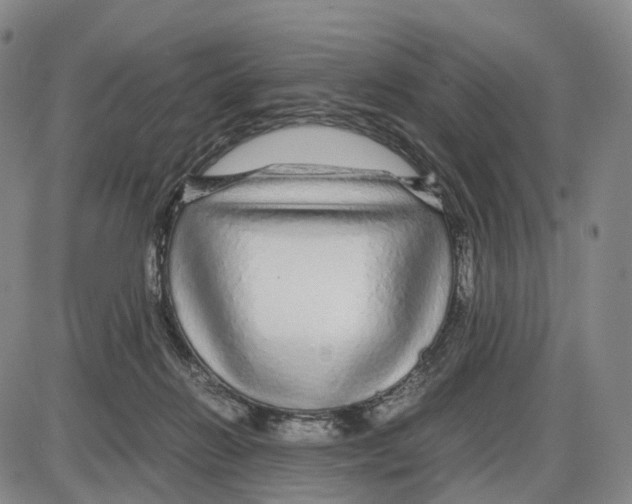 X0000085070270200704021418