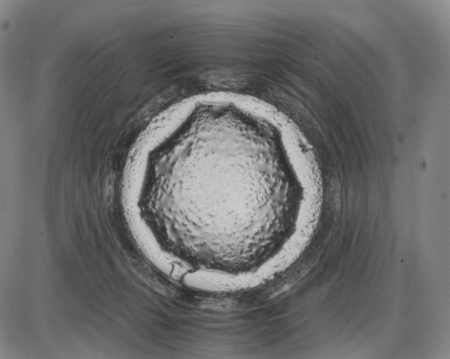 X0000085070271200704021418