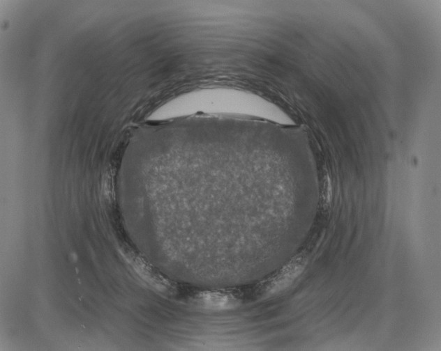 X0000085070272200704021418