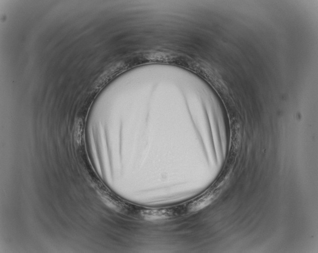 X0000085070273200704021418