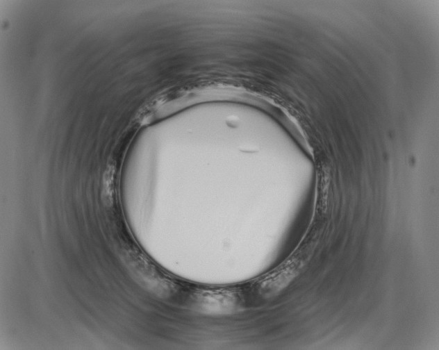 X0000085070275200704021419