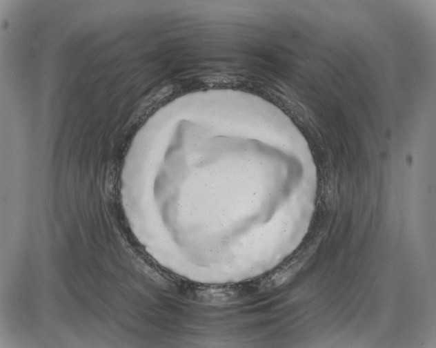 X0000085070277200704021419