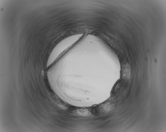 X0000085070279200704021419