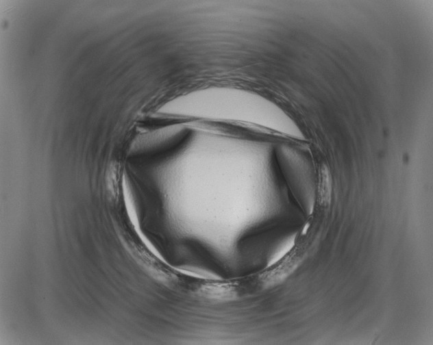 X0000085070280200704021419