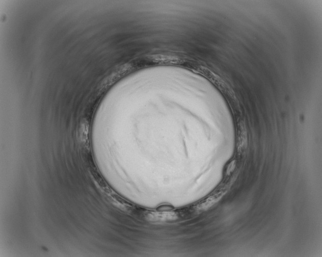 X0000085070281200704021419