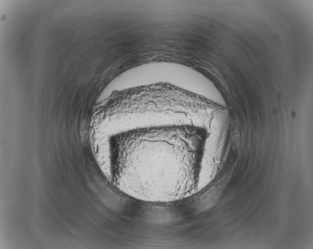 X0000085070285200704021419