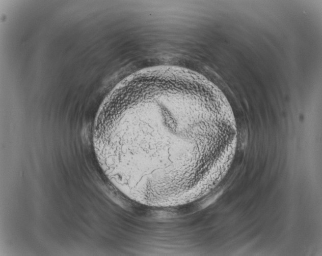 X0000085070286200704021419