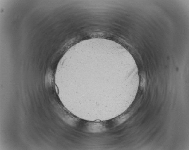 X0000085070287200704021419