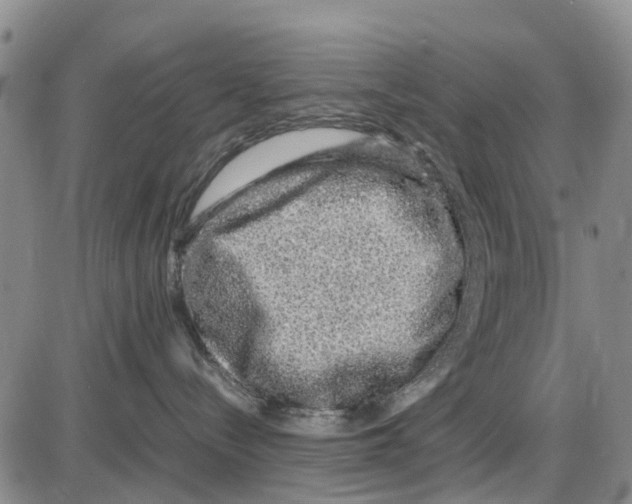 X0000085070288200704021419