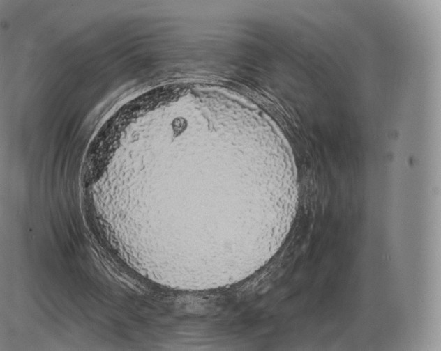 X0000085070290200704021418