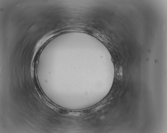 X0000085070294200704021418