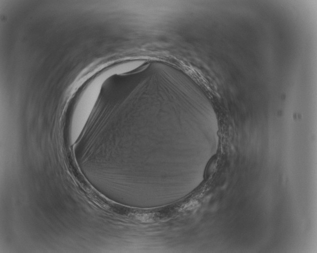 X0000085070295200704021418