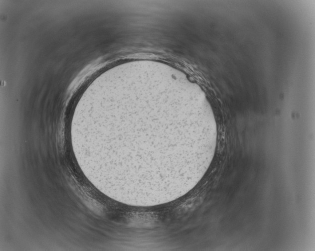 X0000085070296200704021418