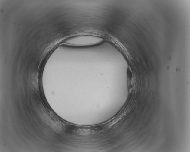 X0000085070298200704021418