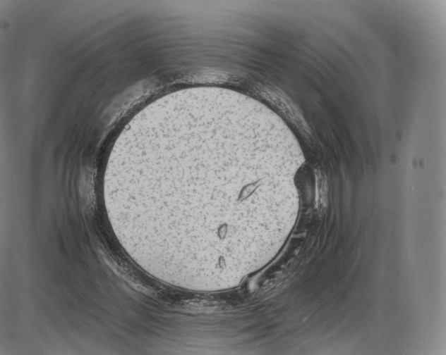 X0000085070300200704021418