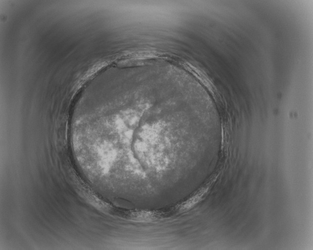 X0000085070301200704021418